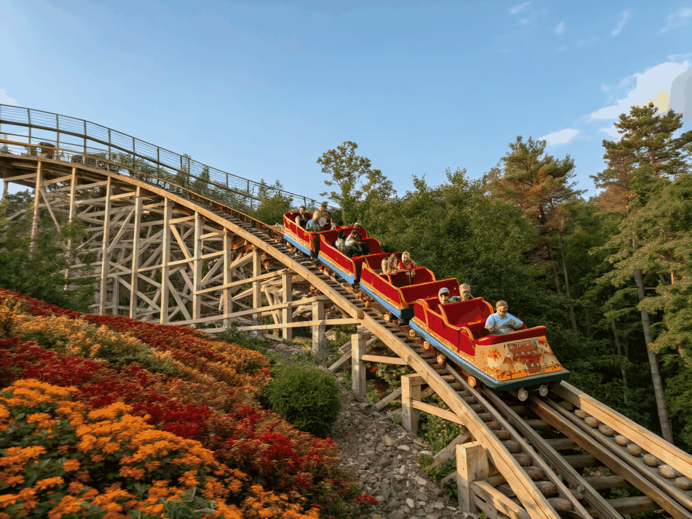 Vibrant roller coaster tracks and family attractions at Dollywood theme park in Pigeon Forge